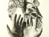 thumbs 347 valenti hands 1972 23x29 pencil drawing Collection continued