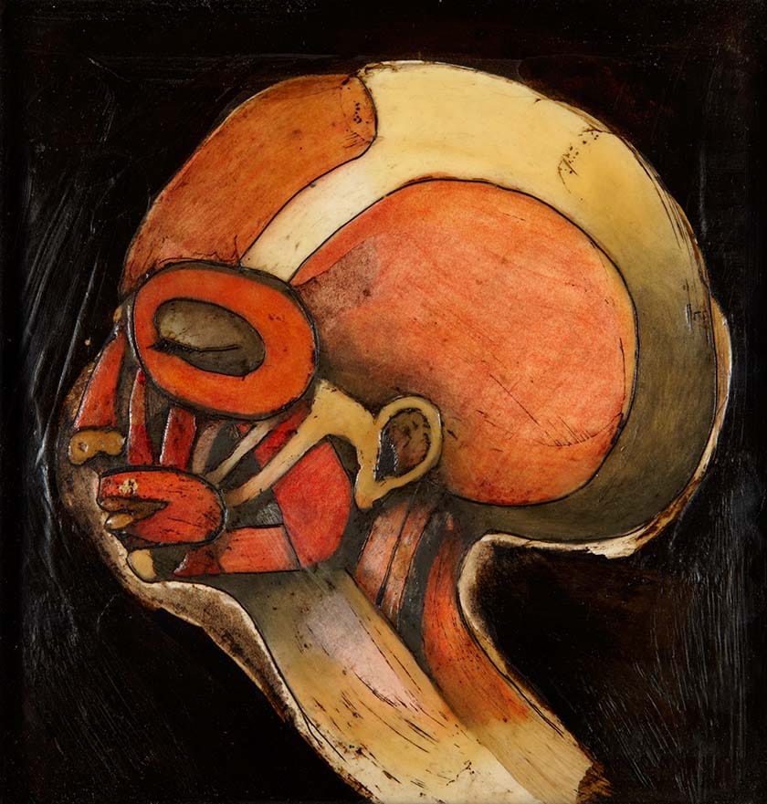 Mandy Havers: Study for Ecorche Head