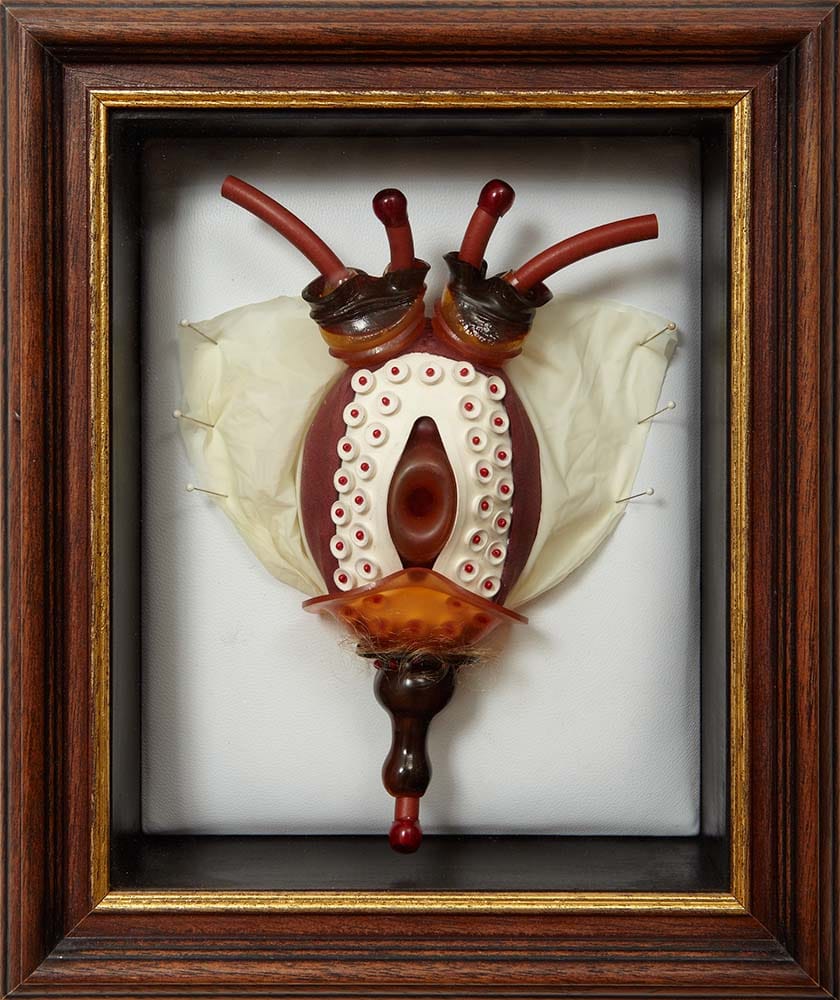 Mandy Havers: Specimen