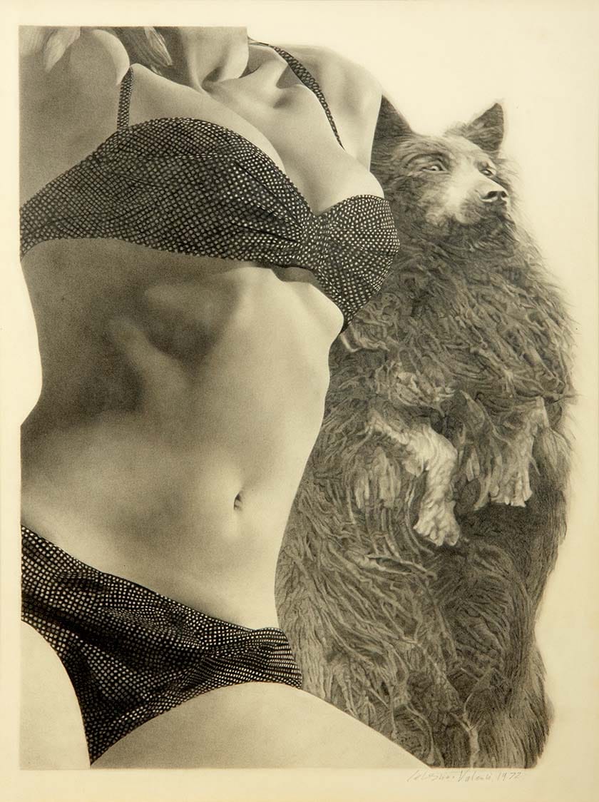 Celestino Valenti: Poodle