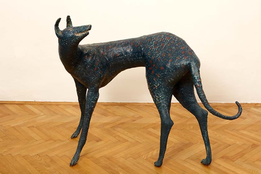 Rebecca Polyblanc: Dog