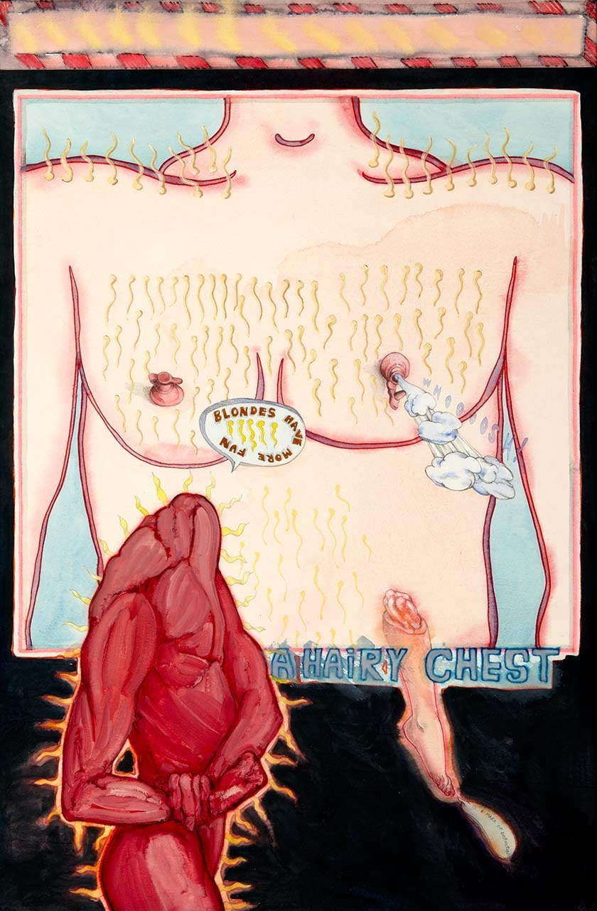Mary P. O'Connor: A Hairy Chest is a Mark of Distinction