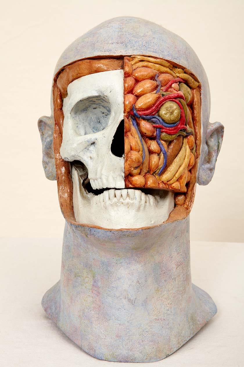 Malcolm Poynter: Head Study-Skull