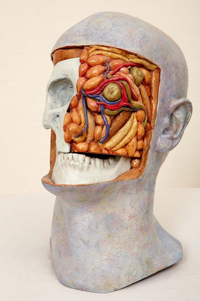 Malcolm Poynter: Head Study-Skull (view)