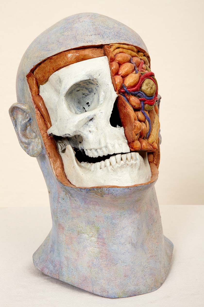 Malcolm Poynter: Head Study-Skull (view)