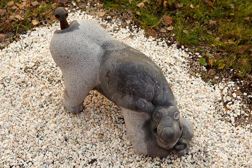 Michael Quane: Adoring Dog
