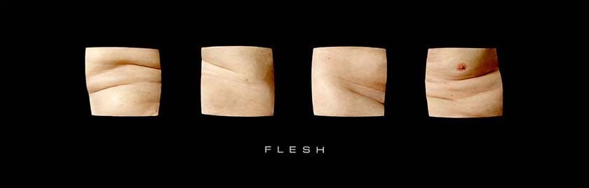 Robert Knight: Flesh 1