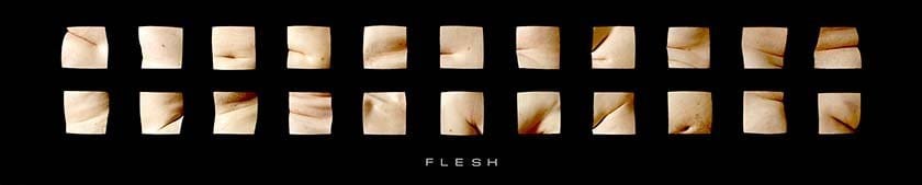Robert Knight: Flesh 2