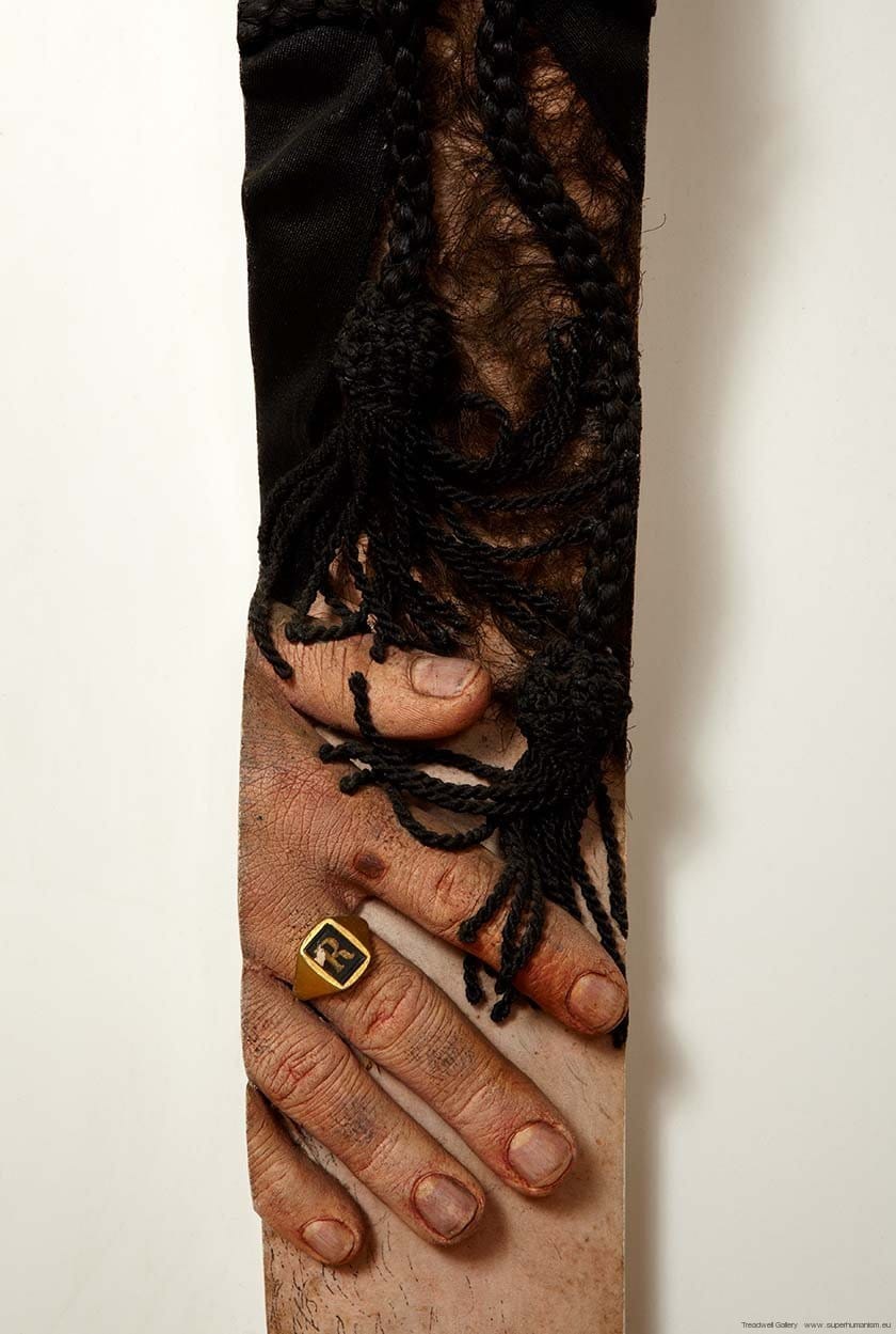 Robert Knight: Rolly (detail)