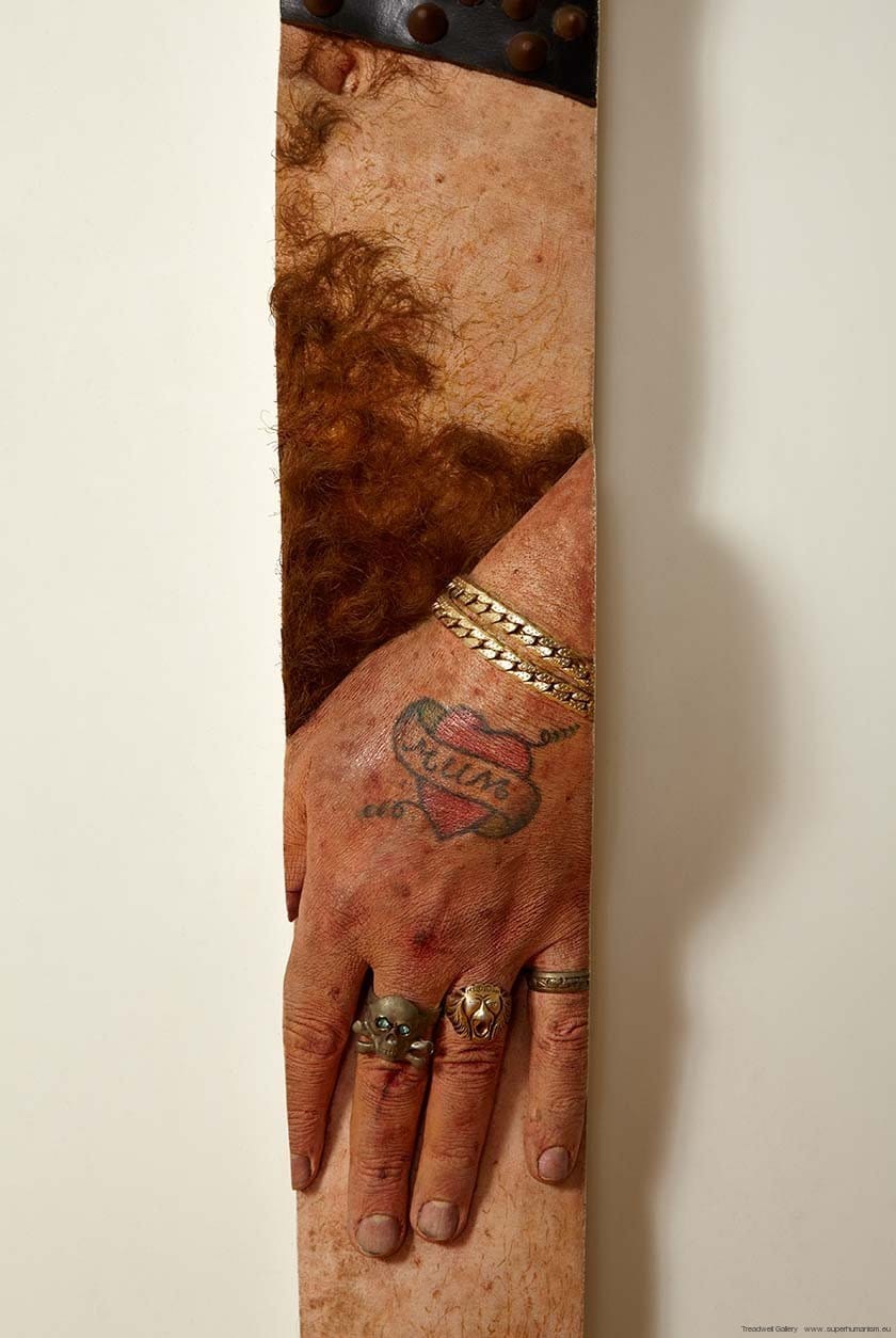 Robert Knight: Rolly (detail)