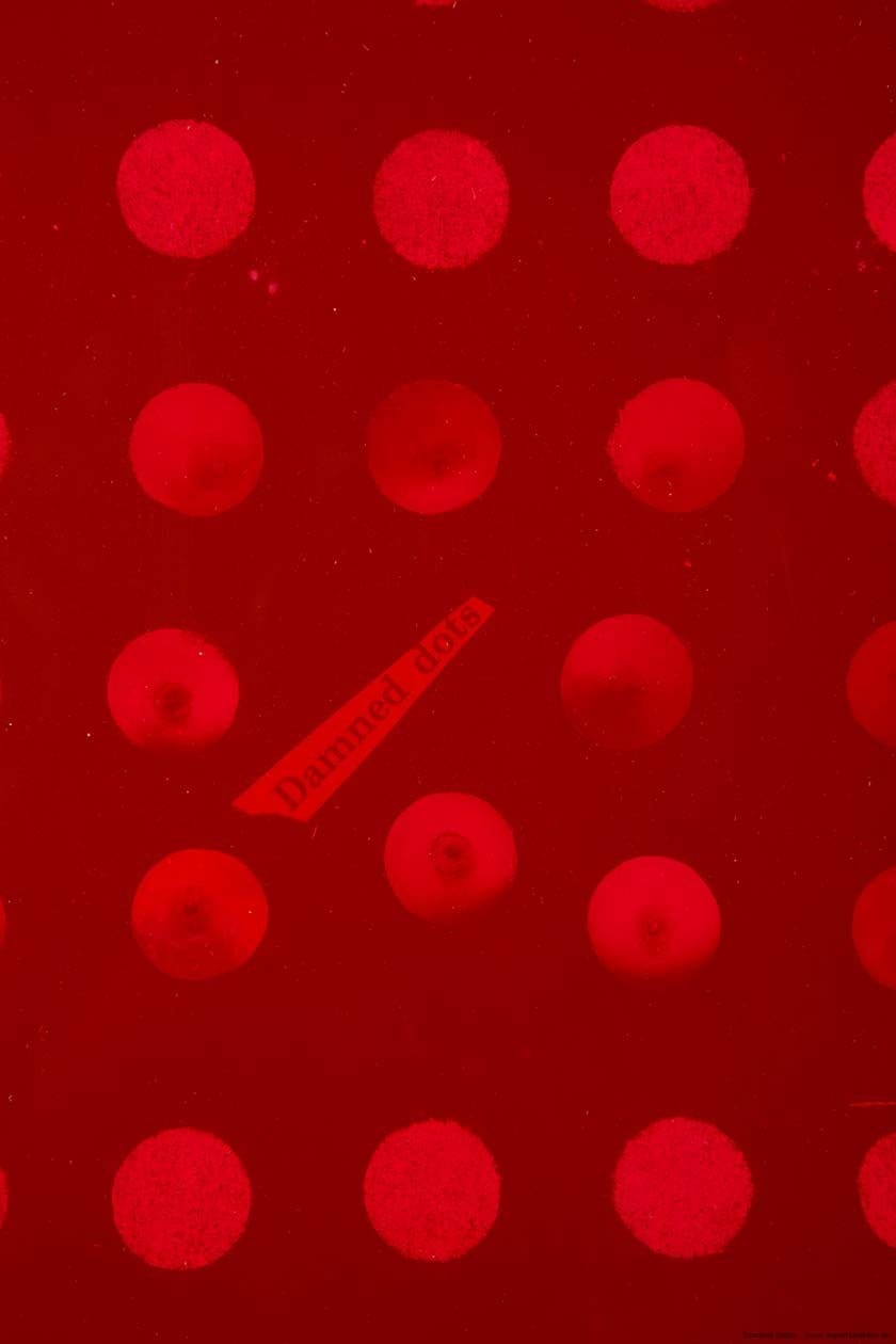 Robert Knight: Damned Dots (detail)