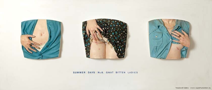 Robert Knight: Summer Days - Gnat Bitten Ladies