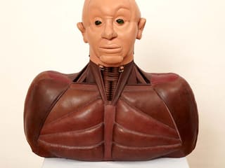 Mandy Havers: Mask