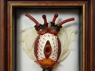Mandy Havers: Specimen