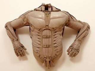 Mandy Havers: Muscleman