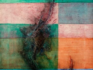 William Newcombe: Liporanium