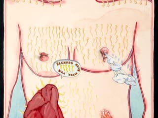 Mary P. O'Connor: A Hairy Chest is a Mark of Distinction