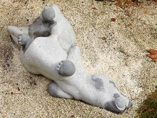 Michael Quane: Playfull Dog