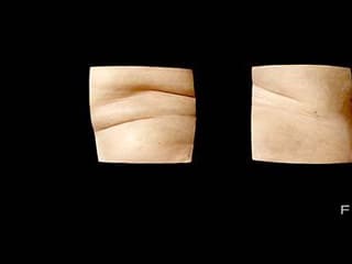 Robert Knight: Flesh 1