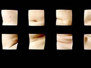 Robert Knight: Flesh 2