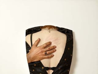 Robert Knight: Scratching Rosie’s Back